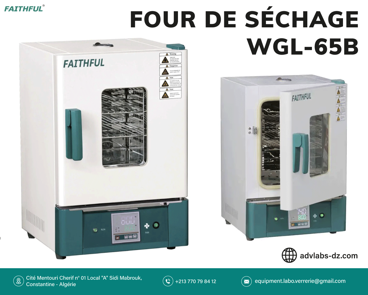 Four de séchage à air forcé WGL-65B FAITHFUL
